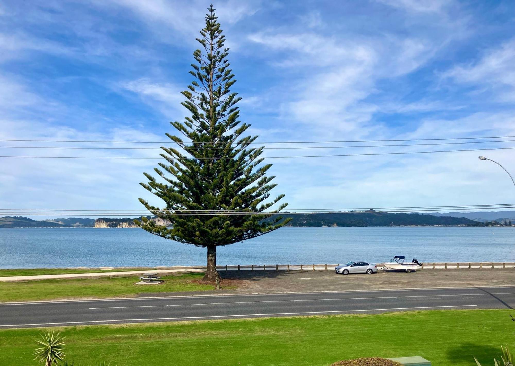 Whitigetaway Sanctuary Soleil Apartman Whitianga Kültér fotó
